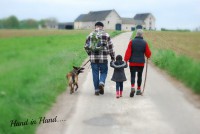 /album/fotogalerij/dsc-1210-bewerkt-jpg/